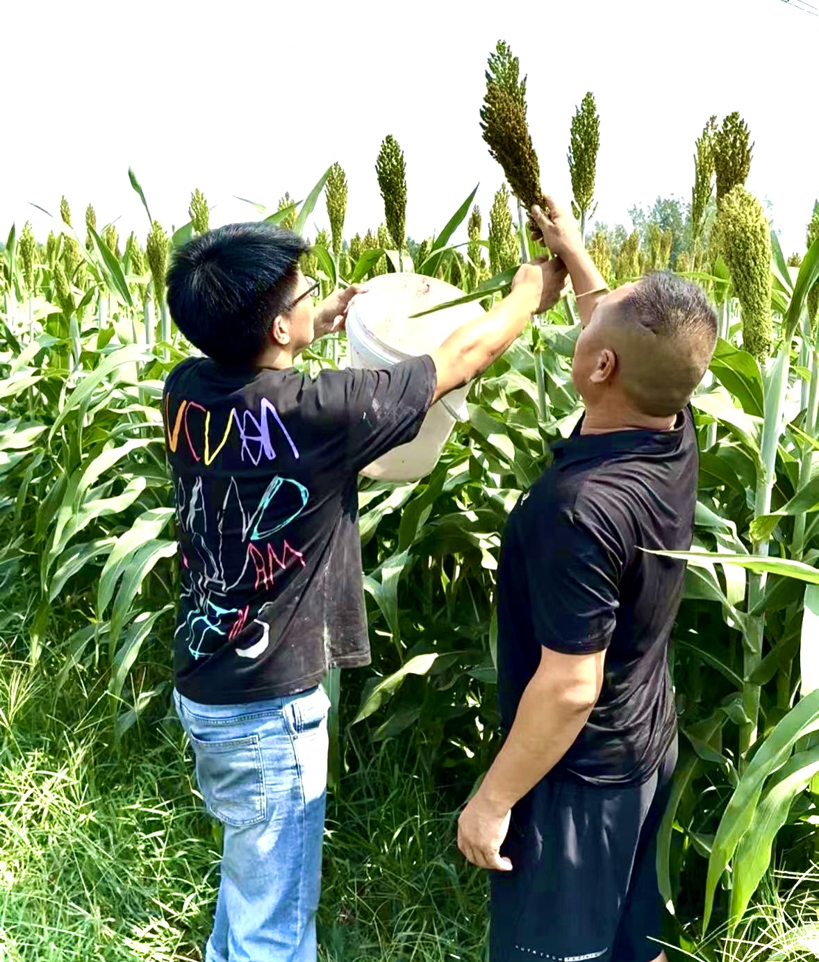 1727056247172725KV5t.jpg 1727056247172725KV5t.jpg